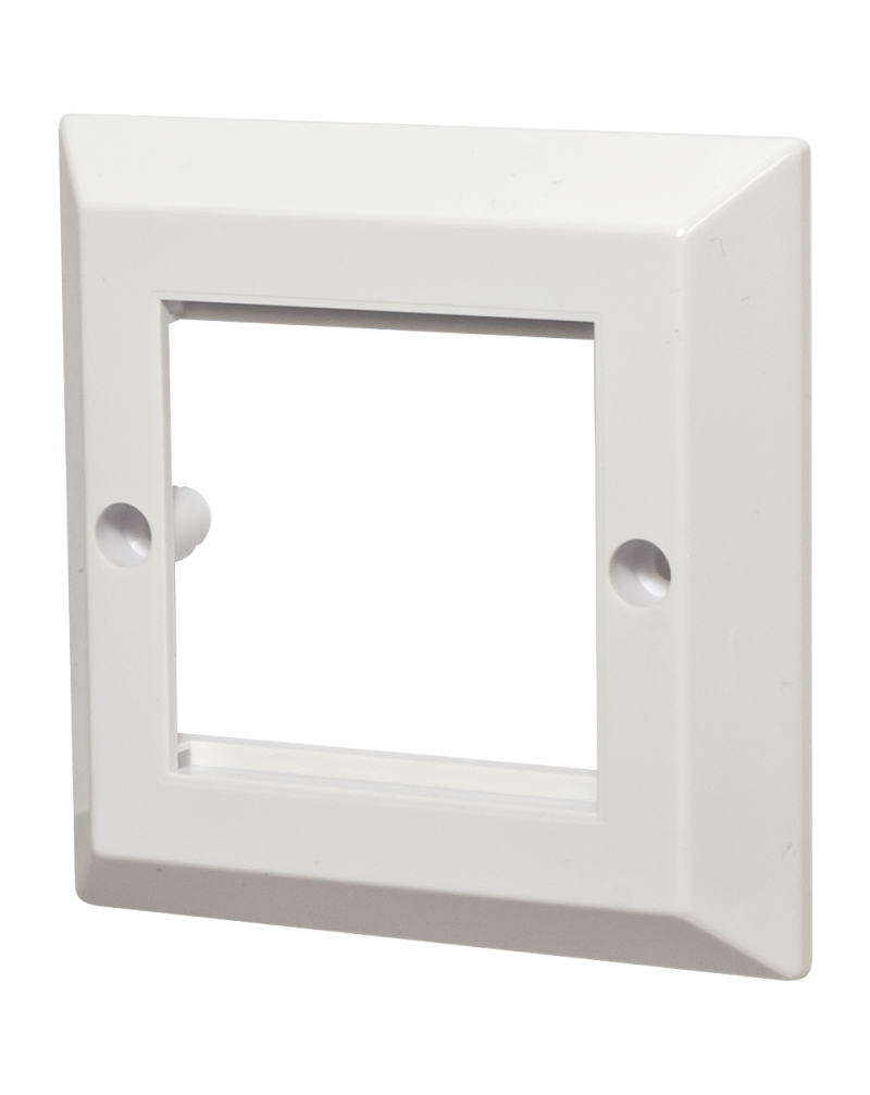 Wall Plate with Dual Gang