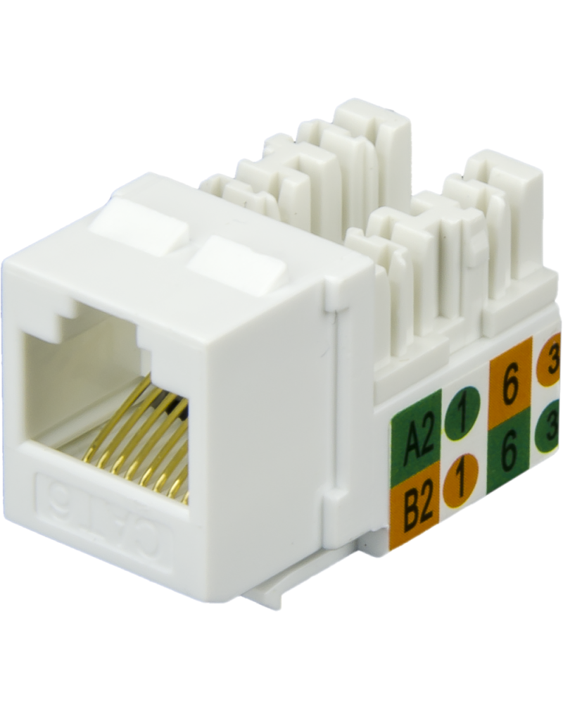 CAT6 Keystone (White)